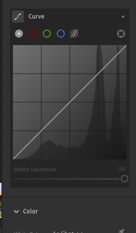 Example of curve tool in Lightroom for creating dream, soft, film-like images